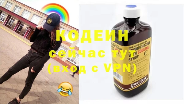 индика Бронницы